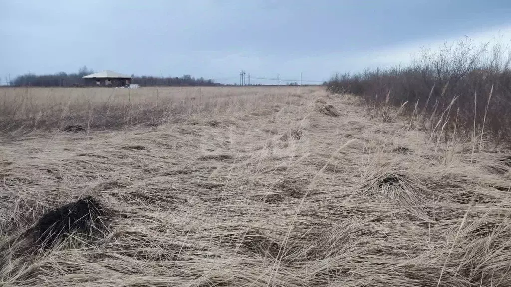 Участок в Тюменская область, Тюмень  (7.55 сот.) - Фото 0