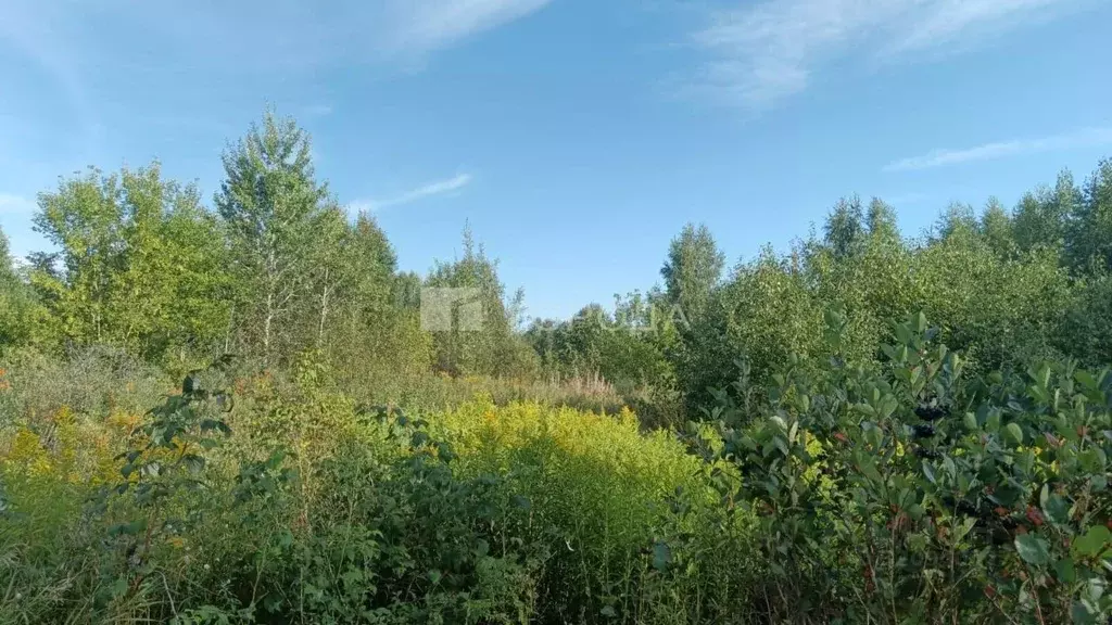 Участок в Алтайский край, Первомайский район, Элита СНТ  (15.0 сот.) - Фото 1