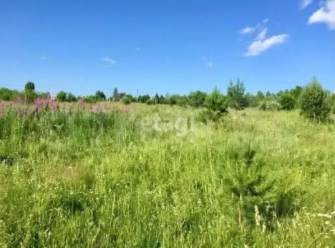 Участок в Кемеровская область, Кемеровский муниципальный округ, с. ... - Фото 0