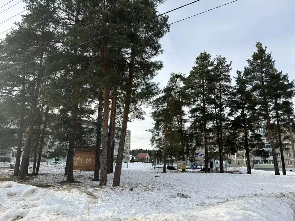 3-к кв. Московская область, Шатура муниципальный округ, пос. ... - Фото 2