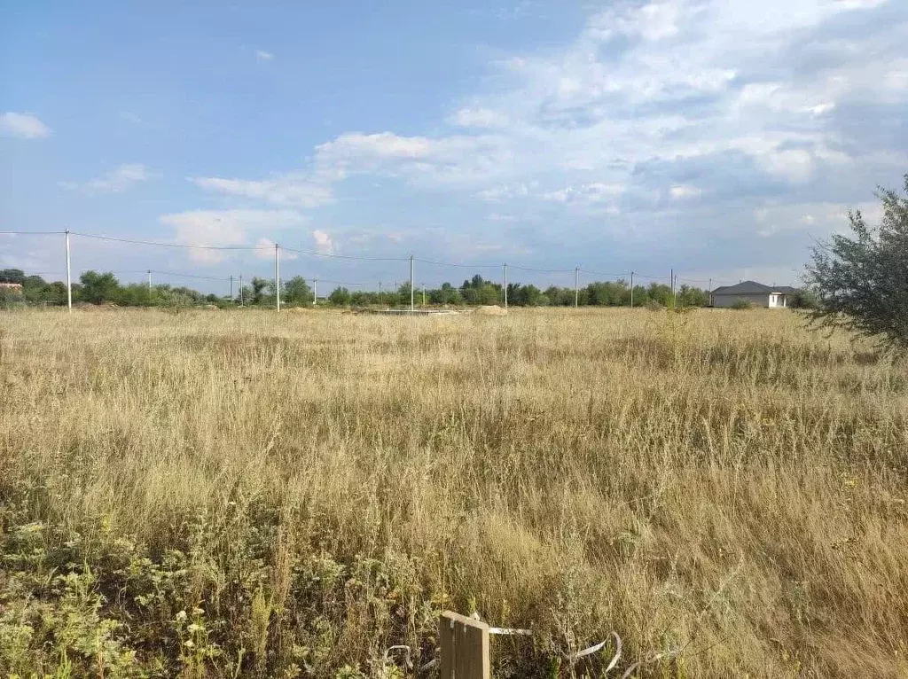 Участок в Саратовская область, Энгельсский район, Новопушкинское ... - Фото 1