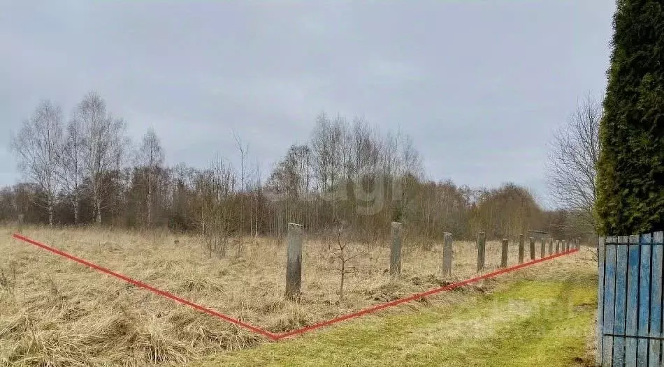 Участок в Псковская область, Печоры Вишенка садовое товарищество,  ... - Фото 2