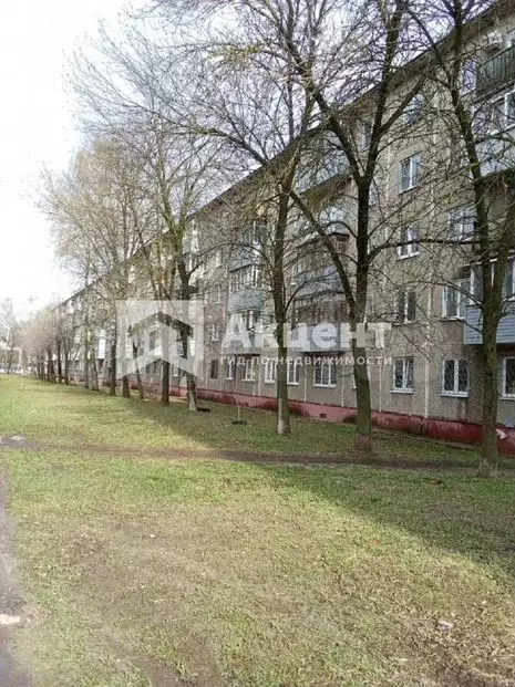 3-к. квартира, 58,6м, 3/5эт. - Фото 1