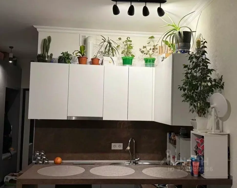 Студия Московская область, Реутов Носовихинское ш., 37 (25.5 м) - Фото 1