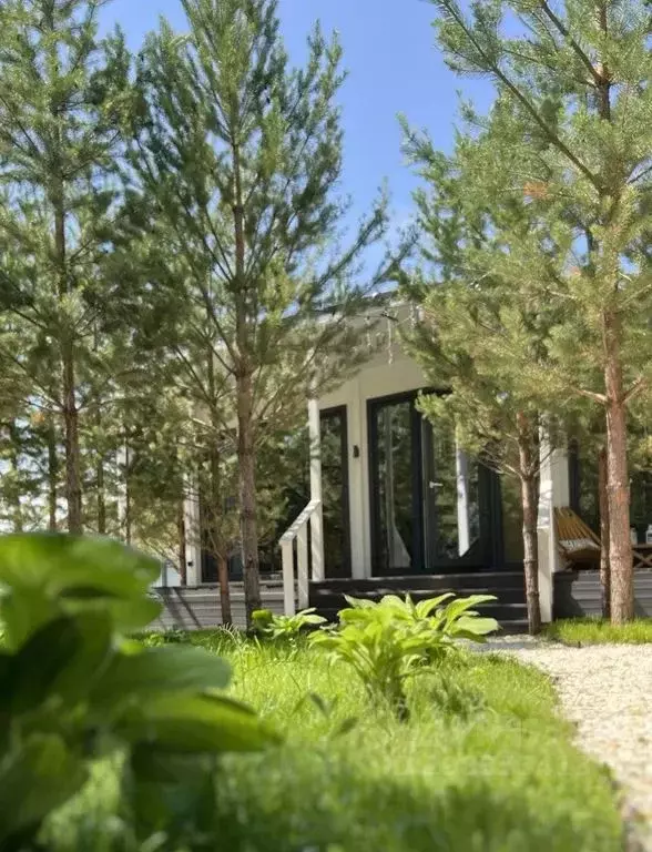 Дом в Свердловская область, Белоярский муниципальный округ, Спортивный ... - Фото 1