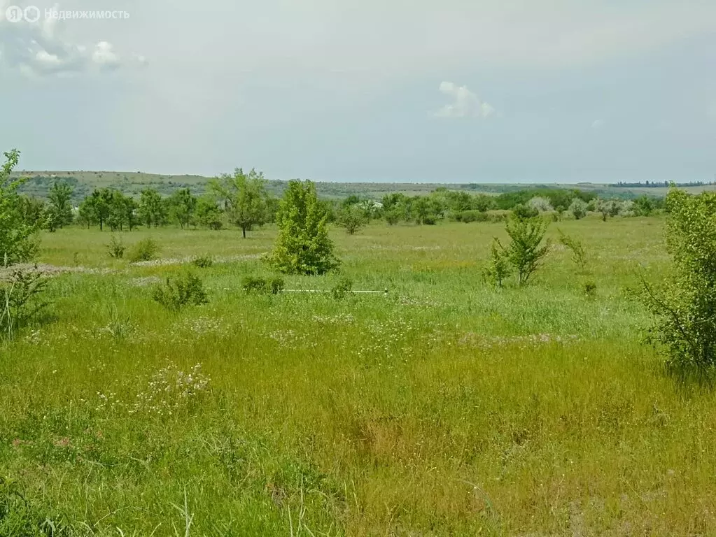 Участок в Московское, Виноградная улица, 29 (15 м) - Фото 0