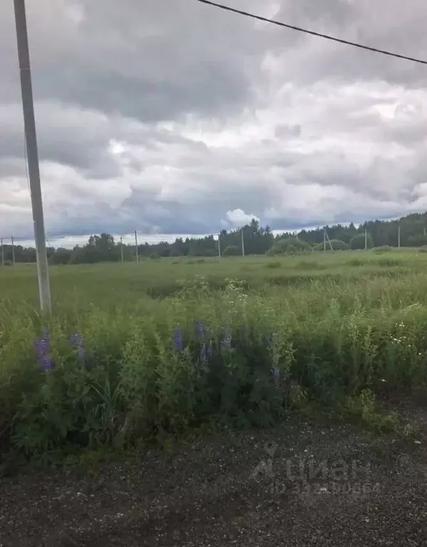Участок в Московская область, Богородский городской округ, Черновские ... - Фото 1
