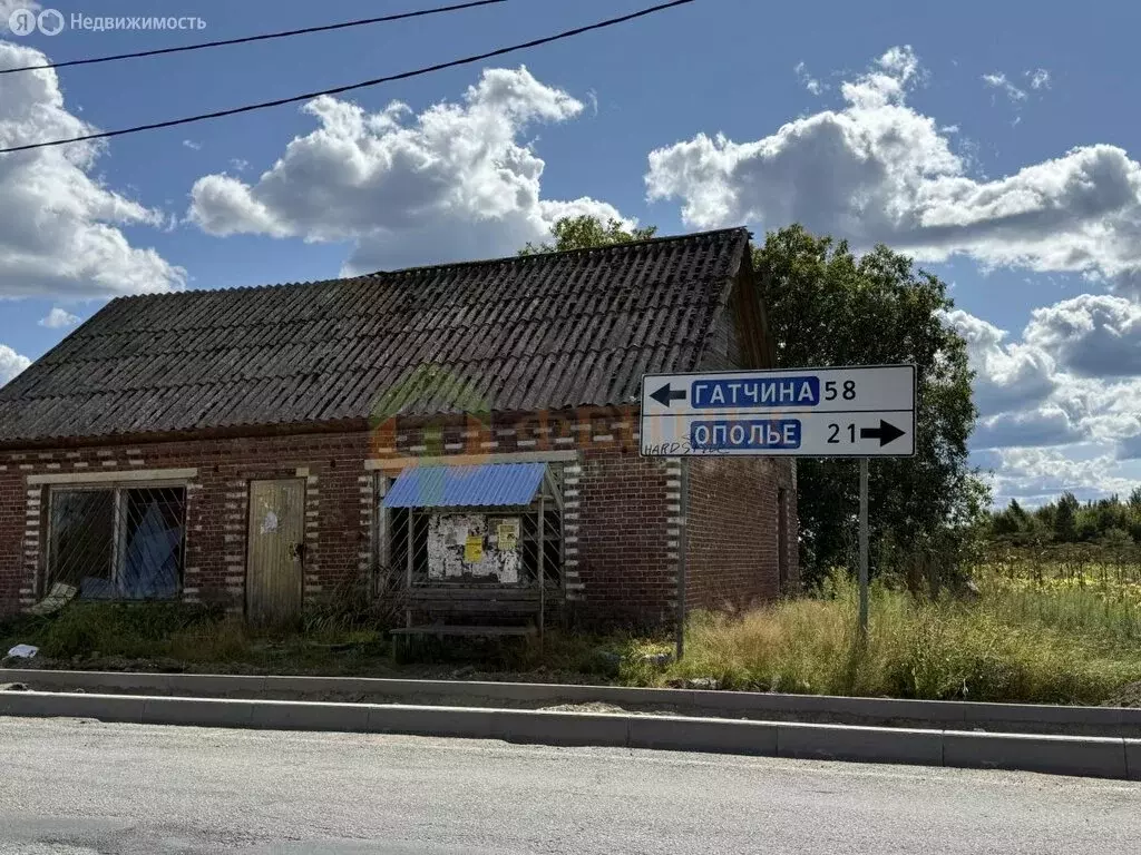 Участок в Волосовский район, Большеврудское сельское поселение, ... - Фото 2