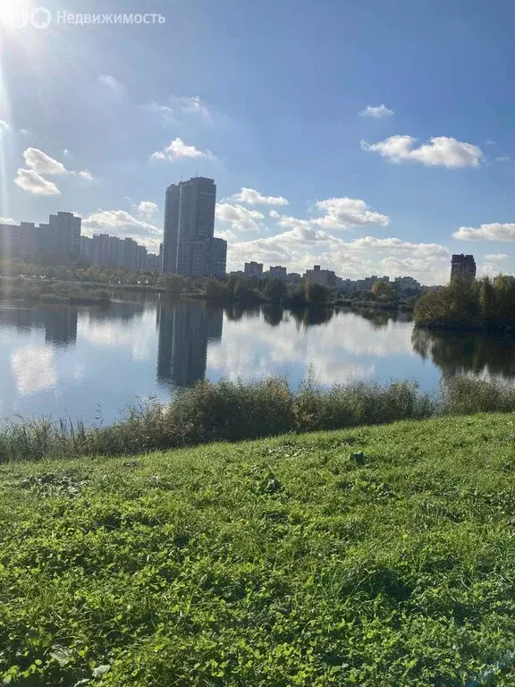 2-комнатная квартира: Санкт-Петербург, Малая Бухарестская улица, 3 ... - Фото 1