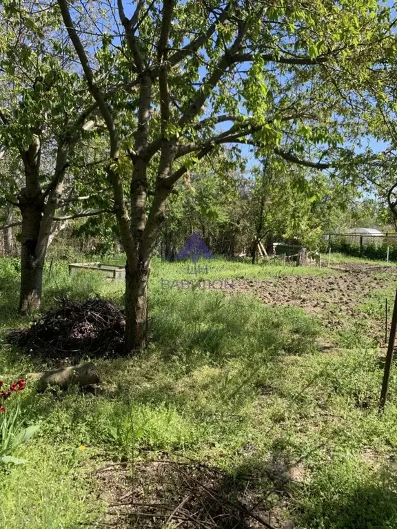 Дом в Ростовская область, Волгодонск Строитель СНТ, 6 массив, 295 (25 ... - Фото 2