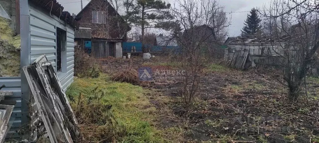 Участок в Тюменская область, Тюмень Мелиоратор садовое товарищество, ... - Фото 1