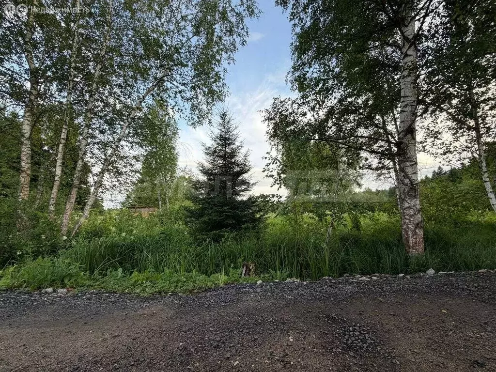Участок в Москва, ТАО, район Бекасово, СНТ Мачихино (6.04 м) - Фото 1