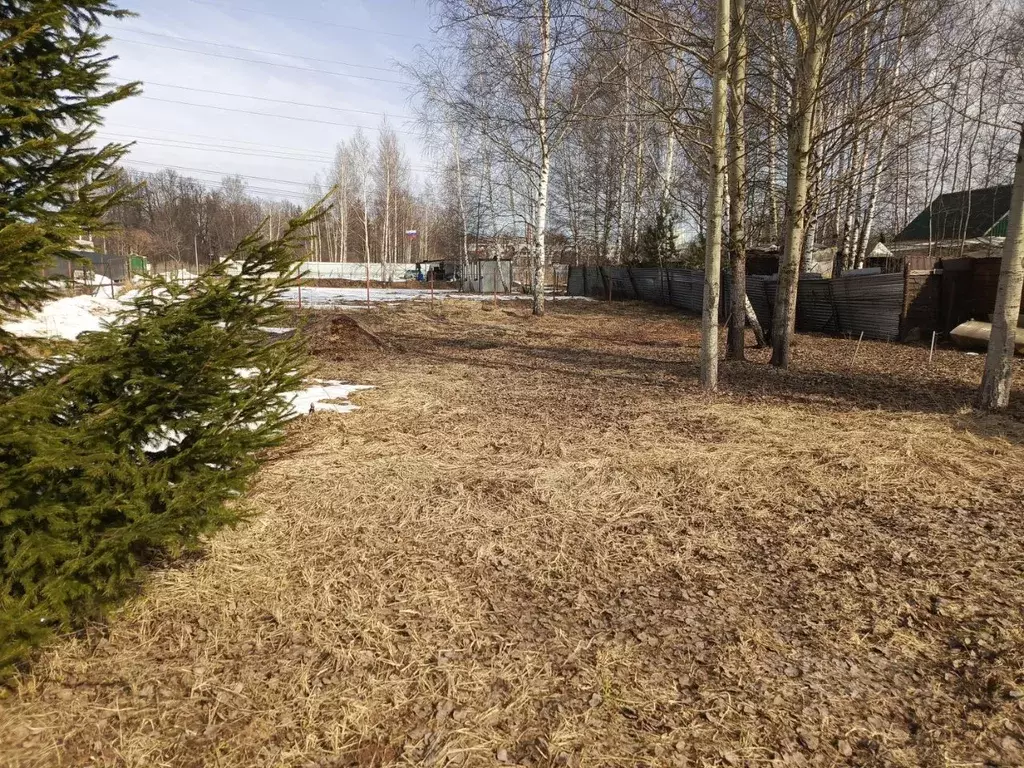 Участок в Московская область, Пушкинский городской округ, пос. Лесные ... - Фото 2