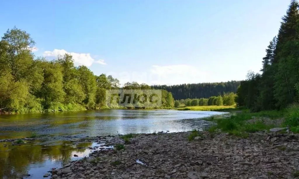 Участок в Пермский край, Березовский район, д. Токманы  (1675.69 сот.) - Фото 1