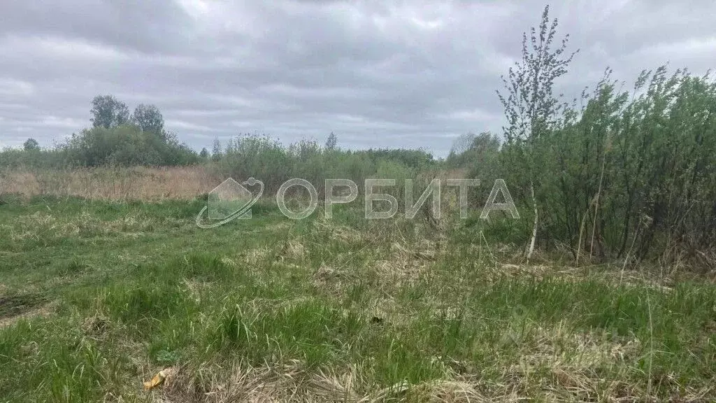 Участок в Тюменская область, Тюмень Большое Царево-3 ОНТ,  (10.0 сот.) - Фото 1