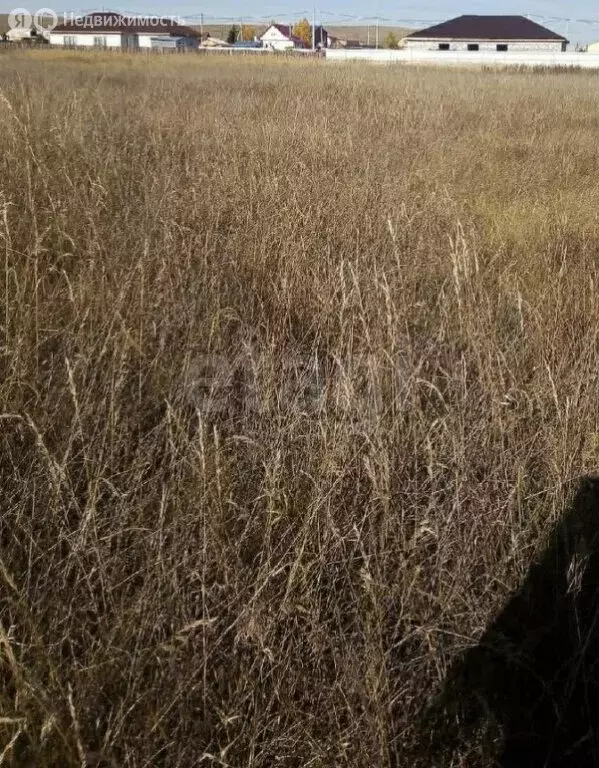 Участок в Черногорск, Биджинская улица (13.69 м) - Фото 2