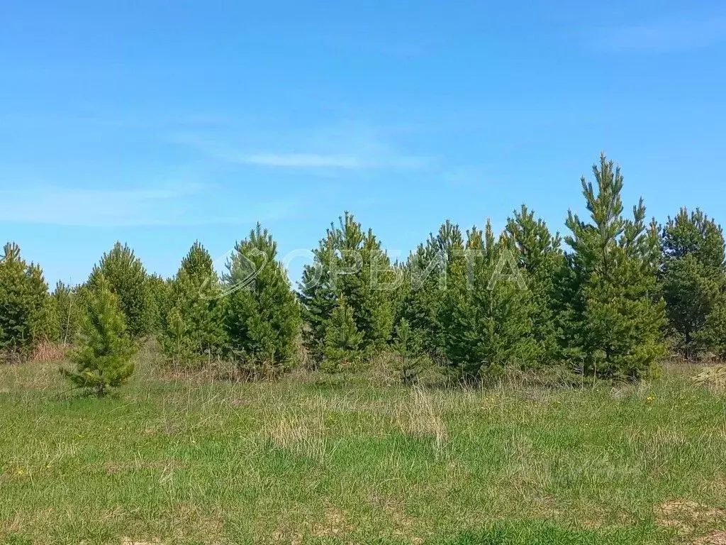 Участок в Тюменская область, Тюменский муниципальный округ, с. ... - Фото 1