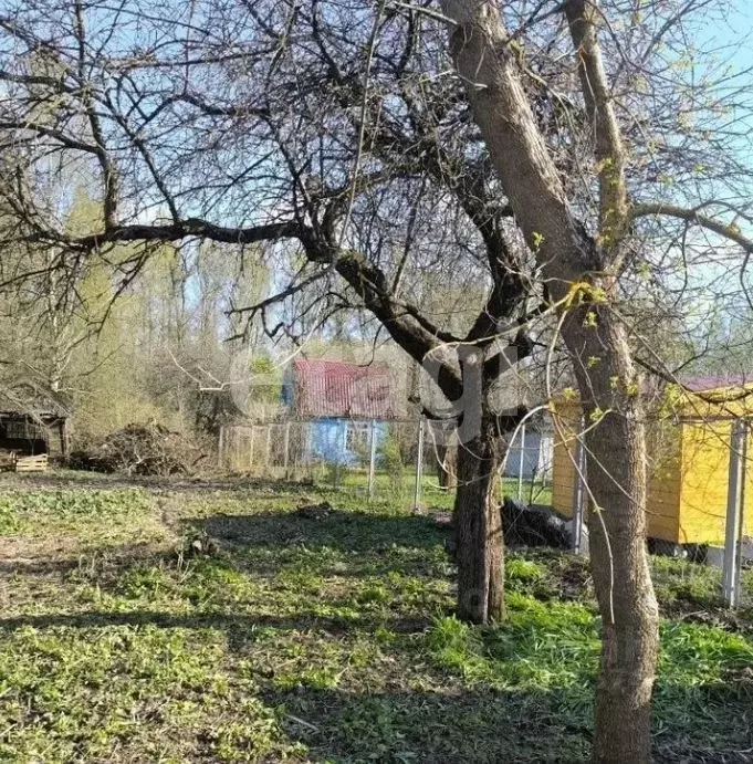 Участок в Московская область, Сергиев Посад Садовод СНТ,  (6.0 сот.) - Фото 2