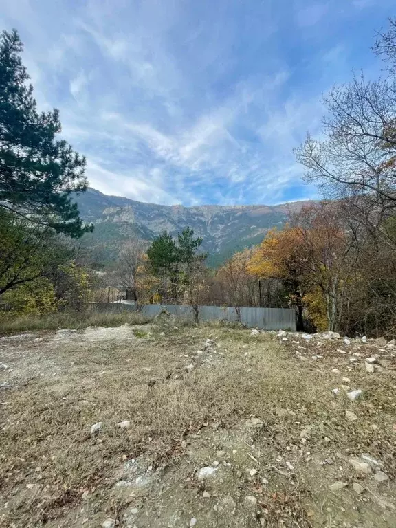 Участок в Крым, Ялта муниципальный округ, Виноградное пгт 109 (7.0 ... - Фото 2