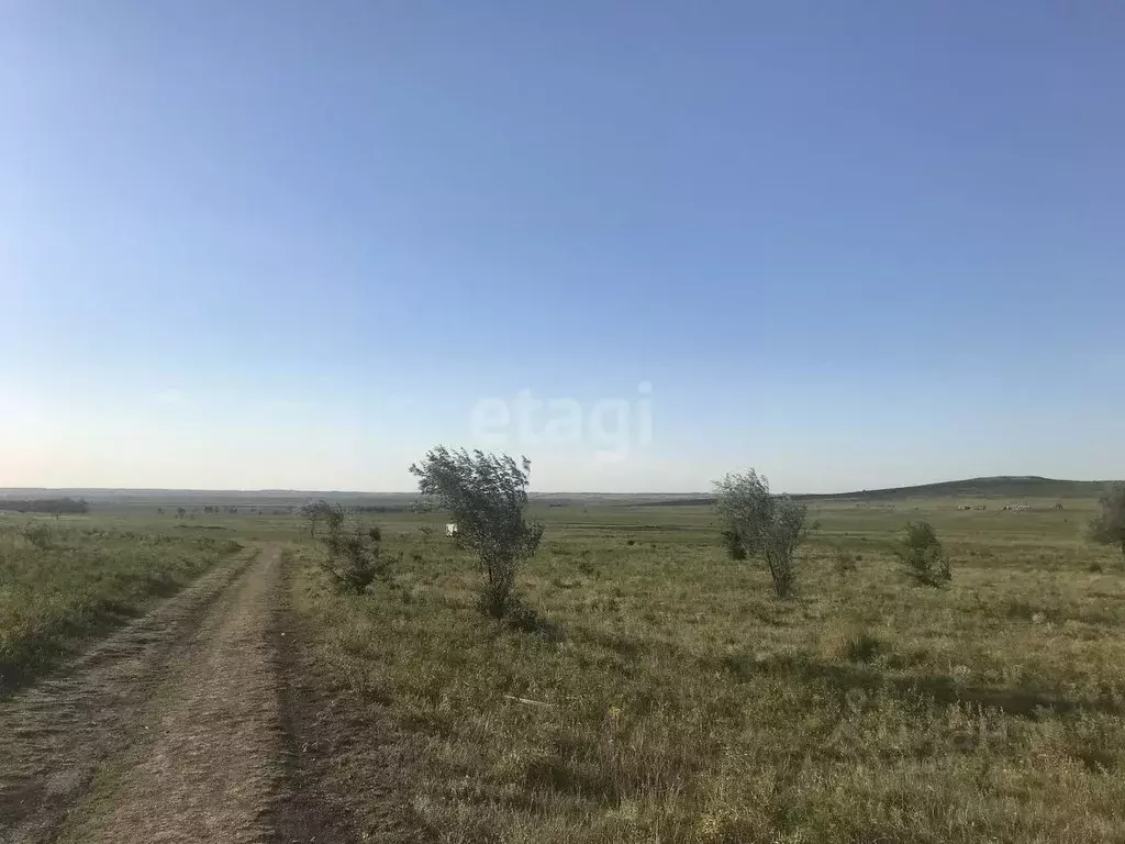 Участок в Ставропольский край, Шпаковский муниципальный округ, ... - Фото 1