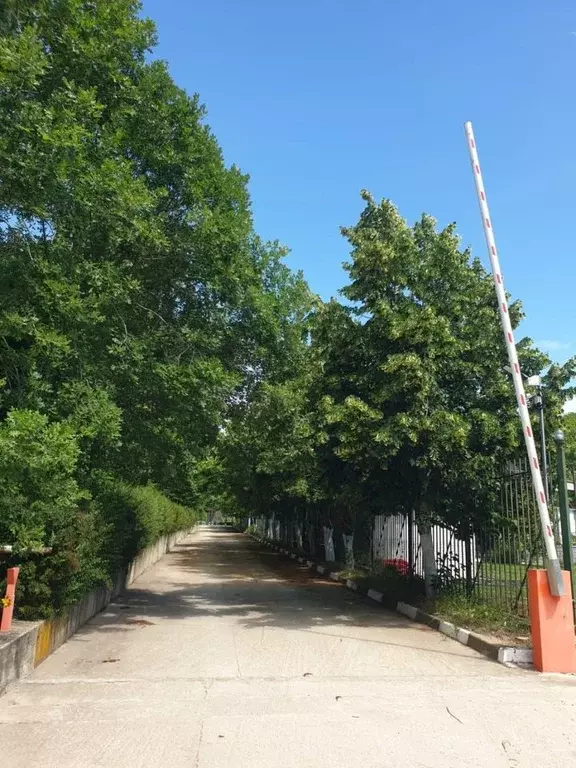 Участок в Краснодарский край, Новороссийск городской округ, с. ... - Фото 1