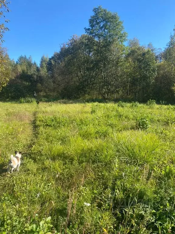 Дом в Новгородская область, Новгородский район, Ермолинское с/пос, ... - Фото 1