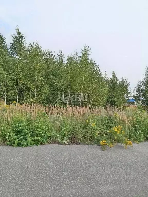 Участок в Нижегородская область, Городецкий муниципальный округ, д. ... - Фото 1