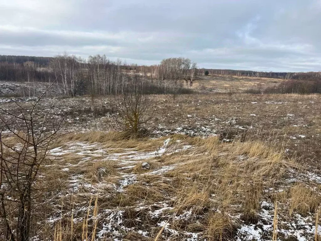 Участок в Московская область, Серпухов городской округ, д. Каргашино  ... - Фото 0