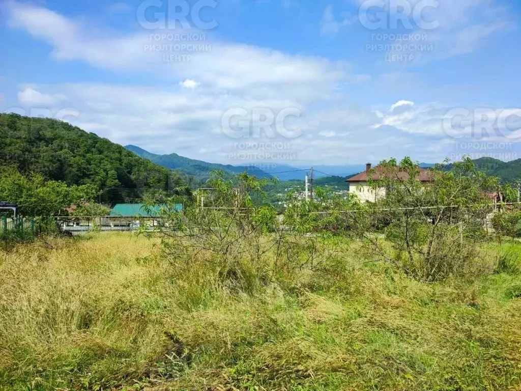 Участок в Краснодарский край, Сочи городской округ, с. Сергей-Поле ... - Фото 2