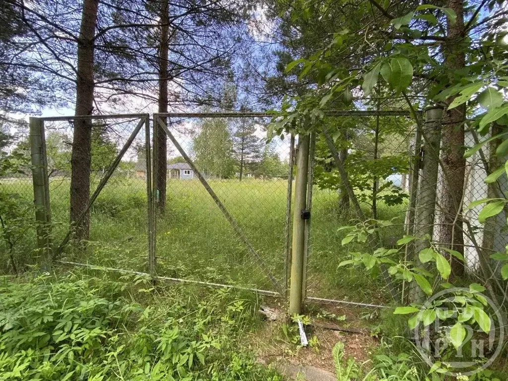 Участок в Ленинградская область, Ломоносовский район, Пениковское ... - Фото 1