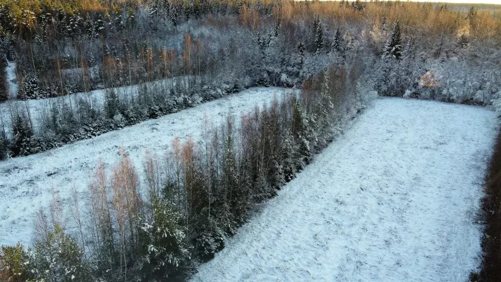 Участок в Ленинградская область, Выборгский район, Советское городское ... - Фото 1