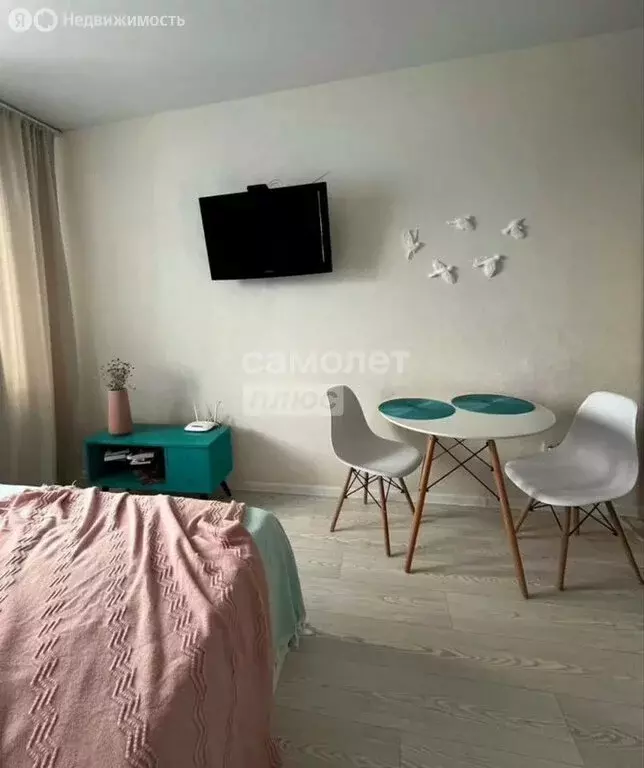 Квартира-студия: село Засечное, Светлая улица, 14 (20 м) - Фото 1