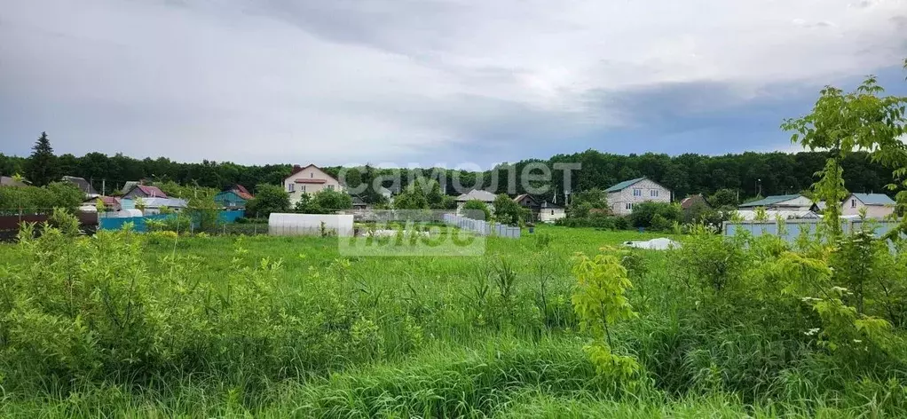 Участок в Пензенская область, Пенза Арбековская ул., 17А (7.5 сот.) - Фото 2