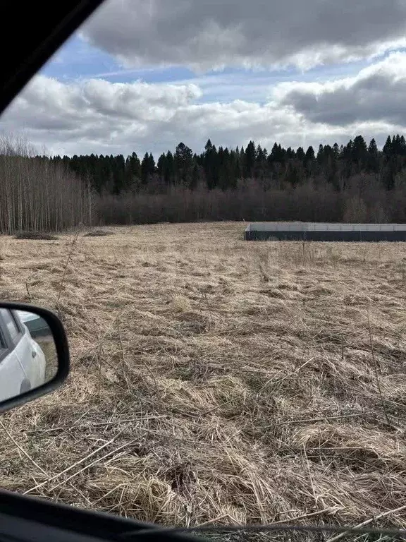 Участок в Вологодская область, д. Кирики-Улита ул. Еловая (12.0 сот.) - Фото 1