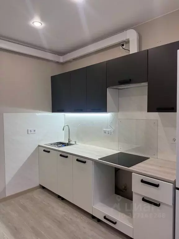 1-к кв. Ленинградская область, Гатчинский муниципальный округ, д. ... - Фото 1