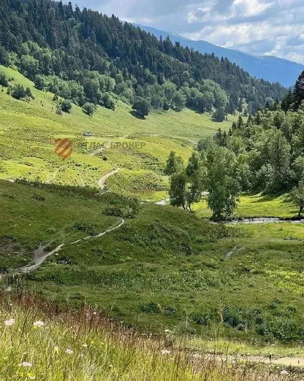 Участок в Ставропольский край, Ставрополь Лесник садоводческое ... - Фото 1