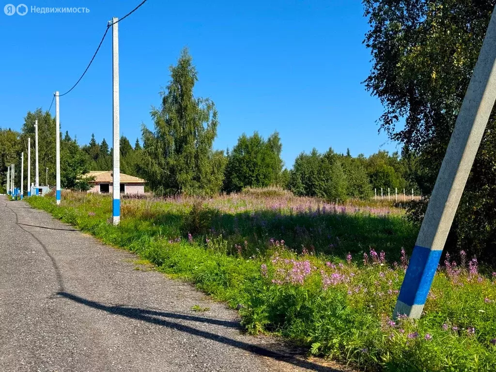 Участок в Дмитровский городской округ, коттеджный поселок Ассаурово ... - Фото 1