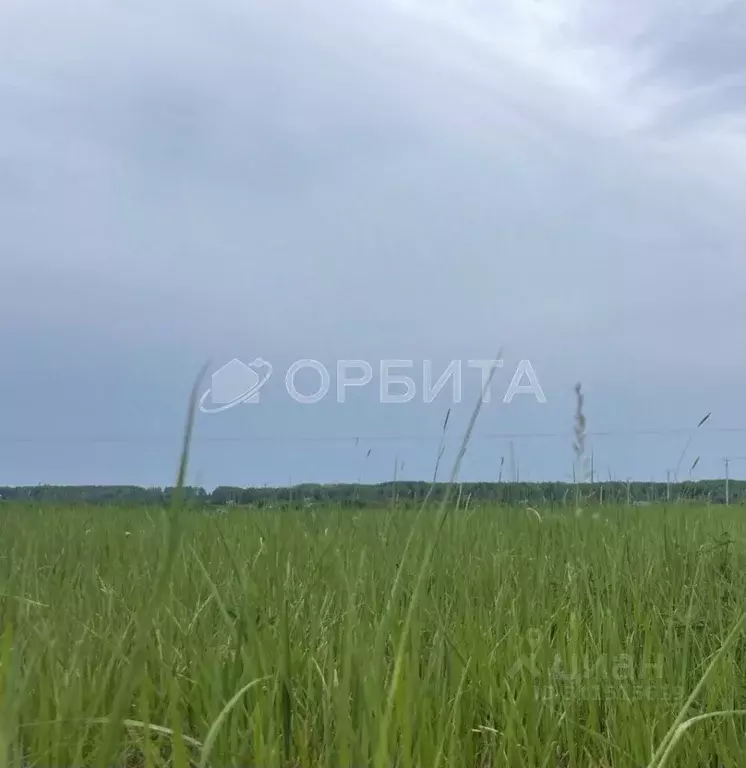 Участок в Тюменская область, Тюменский район, с. Кулаково  (80.0 сот.) - Фото 1