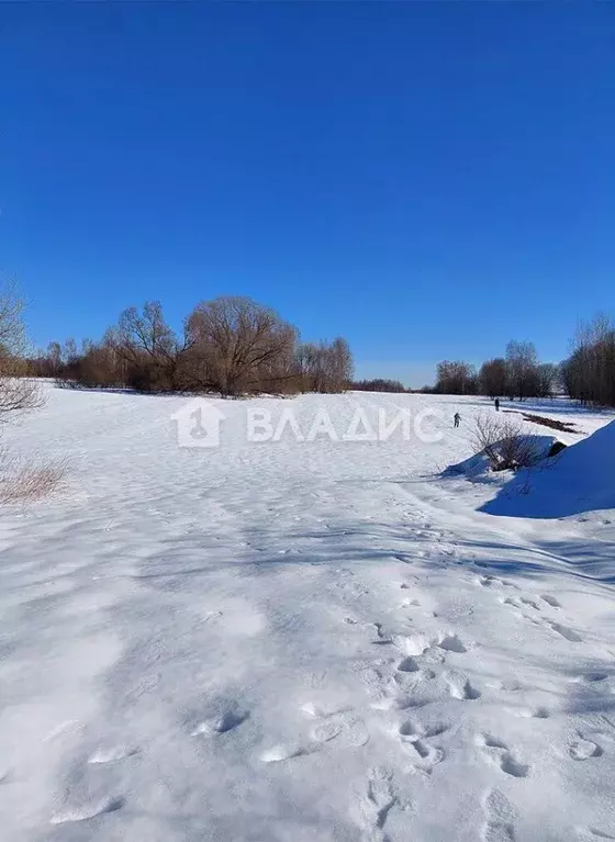 Участок в Московская область, Шаховская муниципальный округ, д. ... - Фото 2