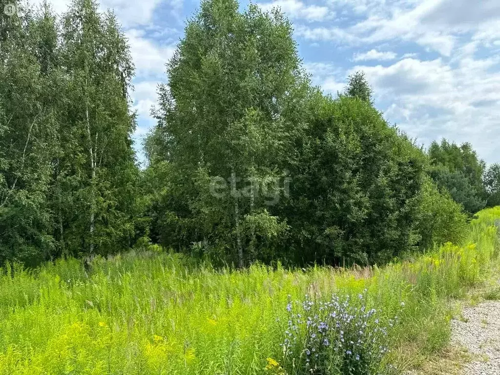 Участок в Нижегородская область, Балахнинский муниципальный округ, ... - Фото 1