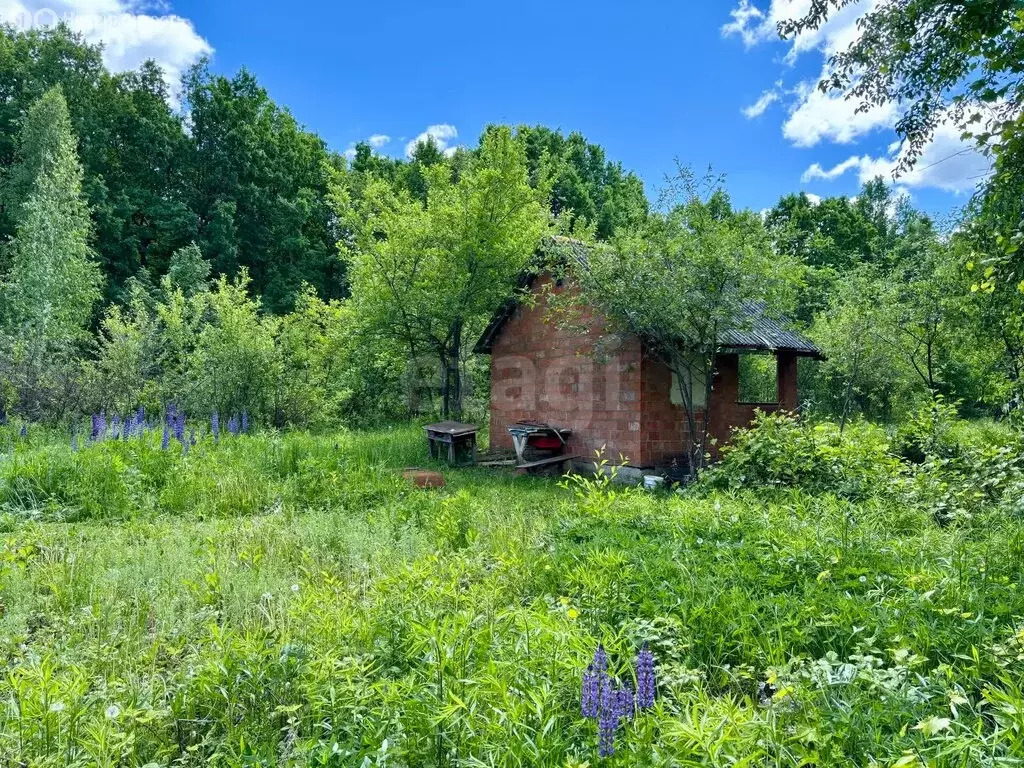 Участок в Саранск, СТ Силовик завода Сарансккабель (5.5 м) - Фото 2