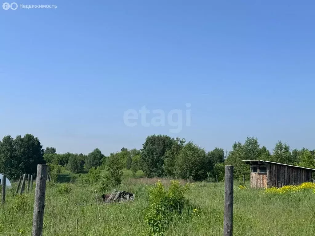 Участок в Кемерово, жилой район Боровой, Грозненская улица (14.5 м) - Фото 1