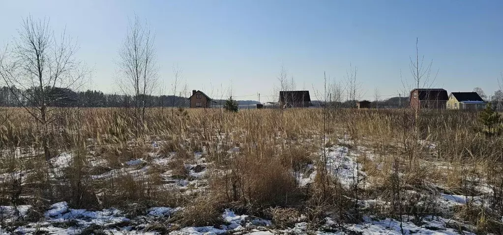 Участок в Московская область, Луховицы муниципальный округ, с. Матыра  ... - Фото 1