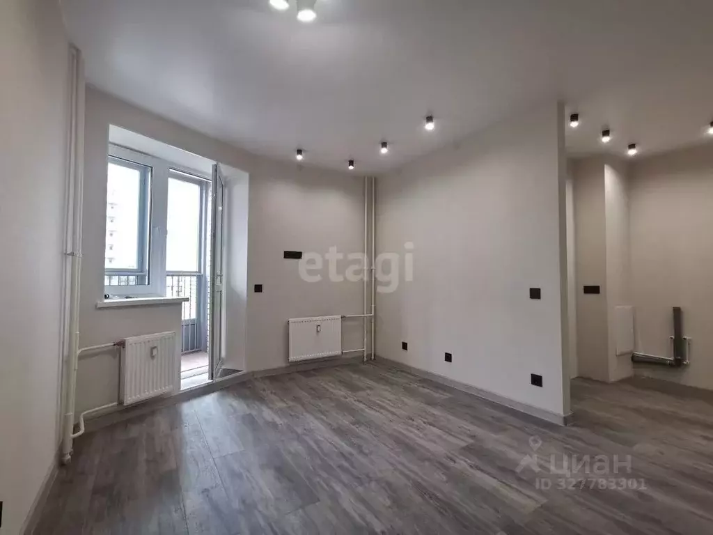 Студия Санкт-Петербург Заневский просп., 42 (24.8 м) - Фото 2