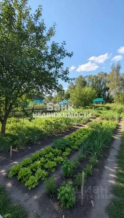 Участок в Саратовская область, Балаковский район, Натальинское ... - Фото 1