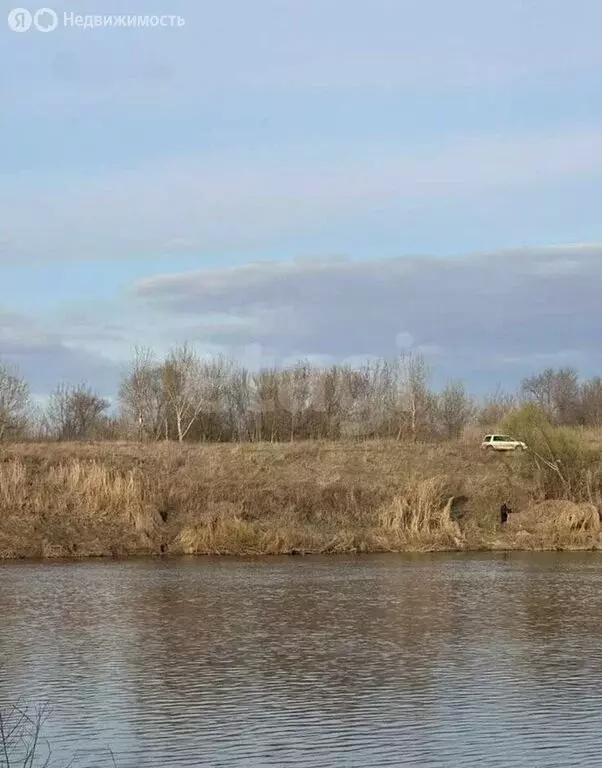 Участок в Воронежская область, Семилукское сельское поселение, село ... - Фото 1