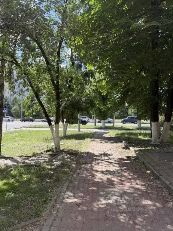 Помещение свободного назначения в Брянская область, Брянск ... - Фото 2