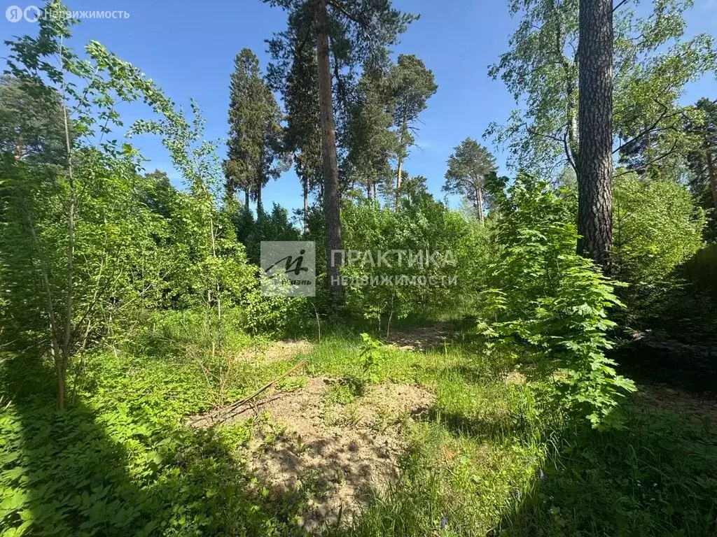 Участок в Пушкино, микрорайон Мамонтовка (12 м) - Фото 1