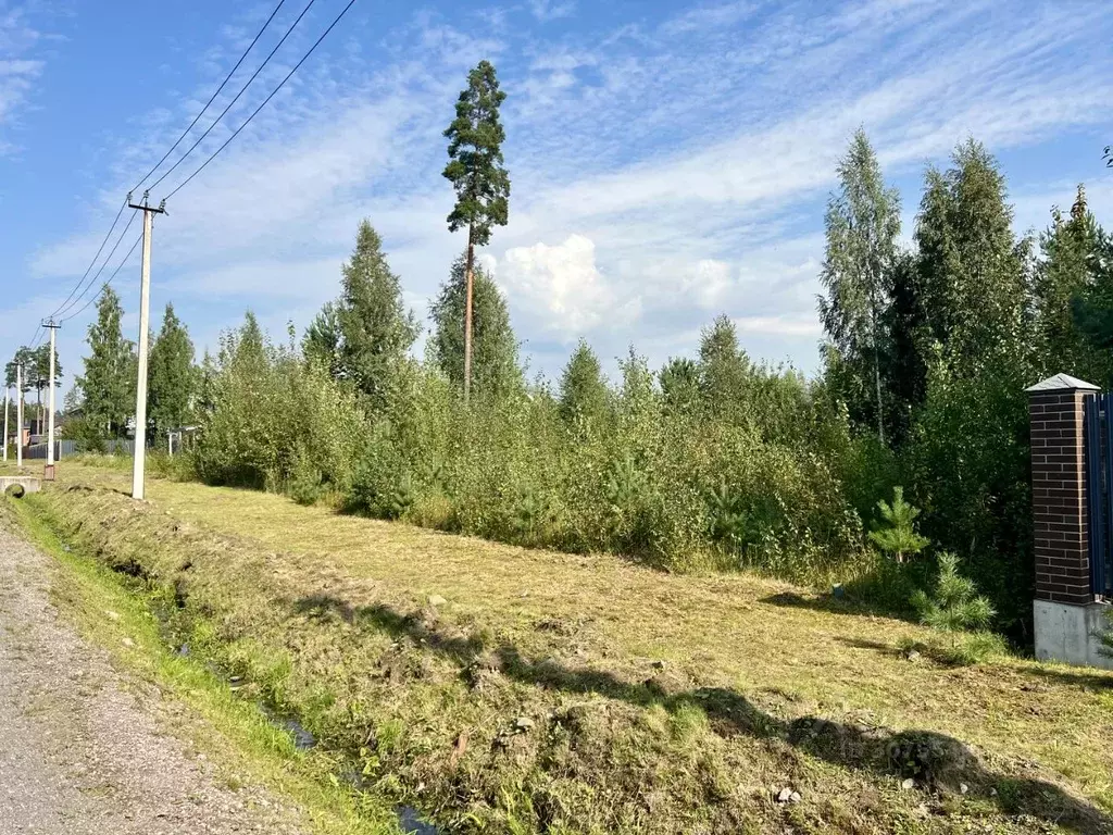 Участок в Ленинградская область, Всеволожский район, Агалатовское ... - Фото 0