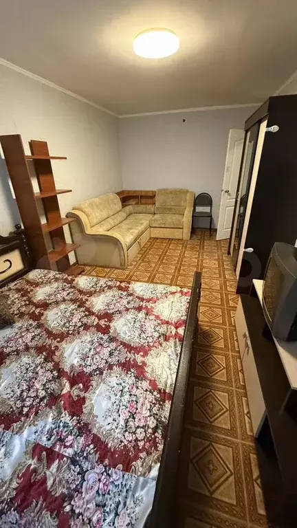 1-к. квартира, 309 м, 2/5 эт. - Фото 1